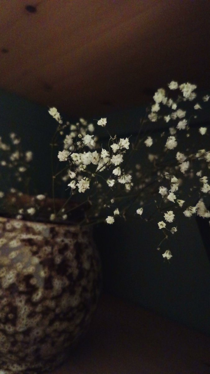 Diane_Mooon's tweet image. Details 🪻

#photooftheday #photography #details #enjoylittlethings #PurpleVibes 💜