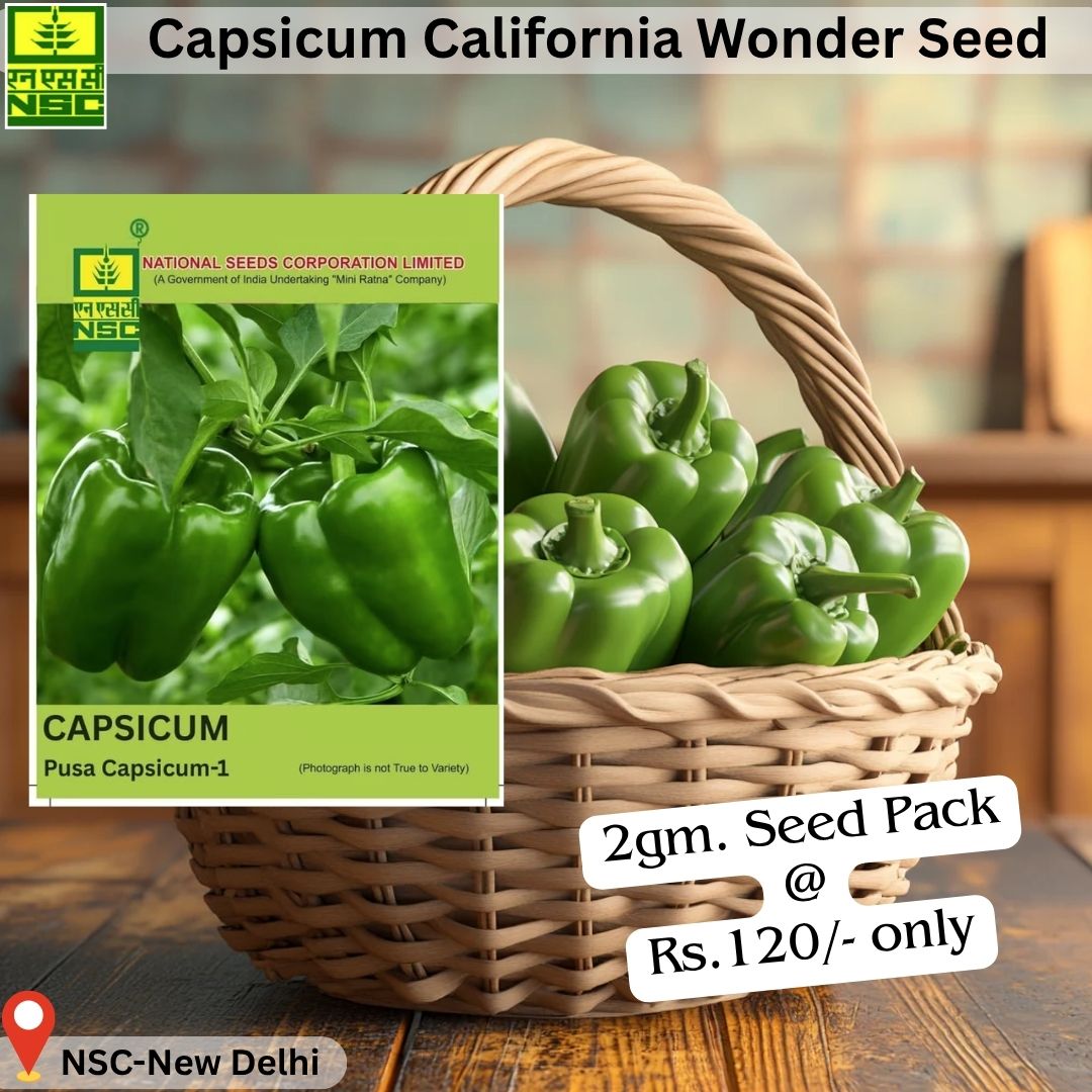 National Seeds Corporation Limited tweet media