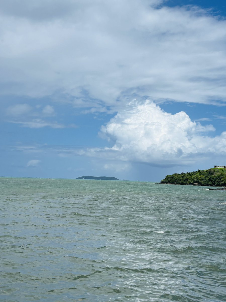 USTED PUEDE SER MÁS PNP QUE FERRÉ, MÁS POPULAR QUE MUÑOZ, MÁS INDEPENDENTISTA QUE ALBIZU, PERO SI SU PARTIDO ESTA DESTRUYENDO A SU PAÍS DEBE SER PRIMERO PUERTORRIQUEÑO 🇵🇷🇵🇷