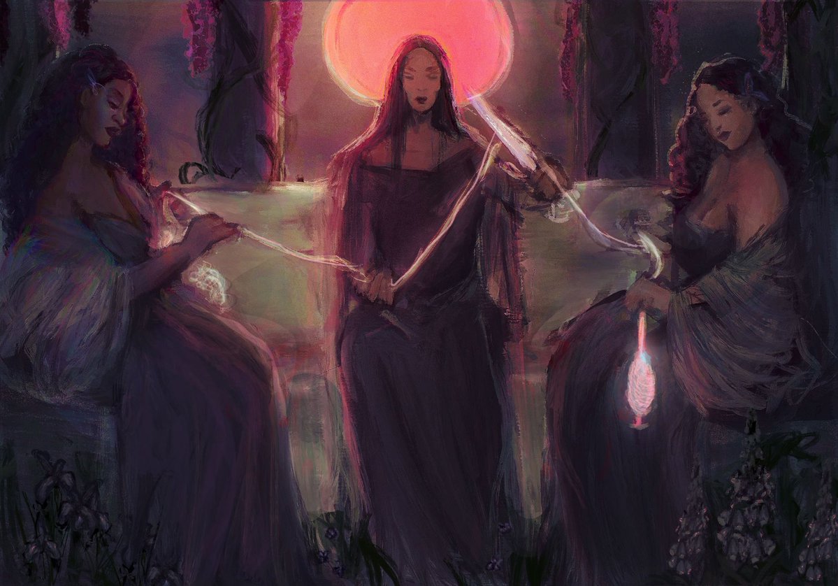 kate @ siempre viva llc tweet media