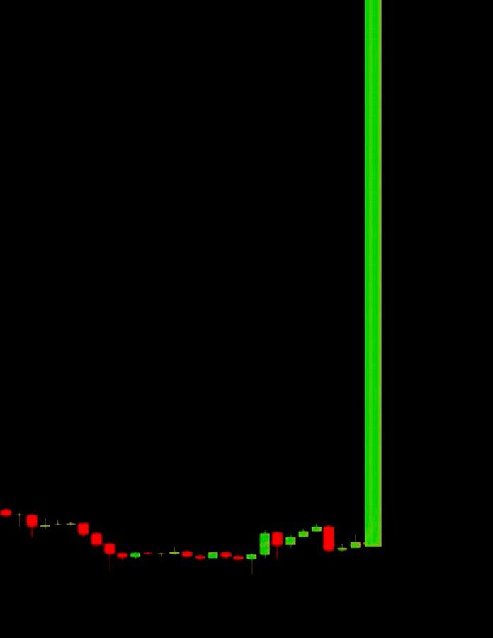 WHALE 🐳 EVERYTHING tweet media