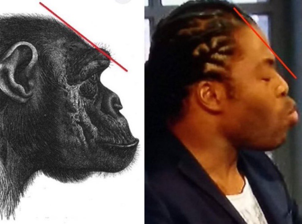 Ren Bitoni tweet media