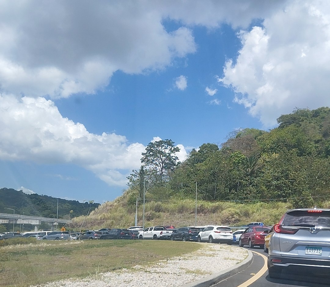 Catia Rojas Toro tweet media