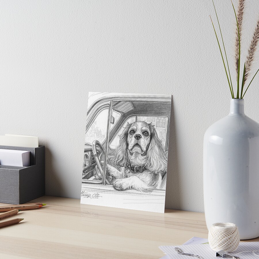 Veves_Place's tweet image. "Cavalier King Charles driving a Car"
Cartoon, Graphic T-shirts🐶🚗

redbubble.com/i/t-shirt/Cava… #findyourthing #redbubble 

#cutecavalierkingcharles 
#cavalierdog 
#doggies 
#puppies 
#cars