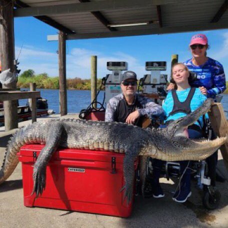 burnside4141s's tweet image. So Kenzi went #alligator #hunting Saturday w/Bayou Bowfishing Charters in #Louisiana. A friend Kim and them wanted Kenzi to get her 1st gator, which was 10'. We used vacuum air trigger for her to fire gun; hollered "alligator gumbo" after shot. #huntingseason #fillthefreezer