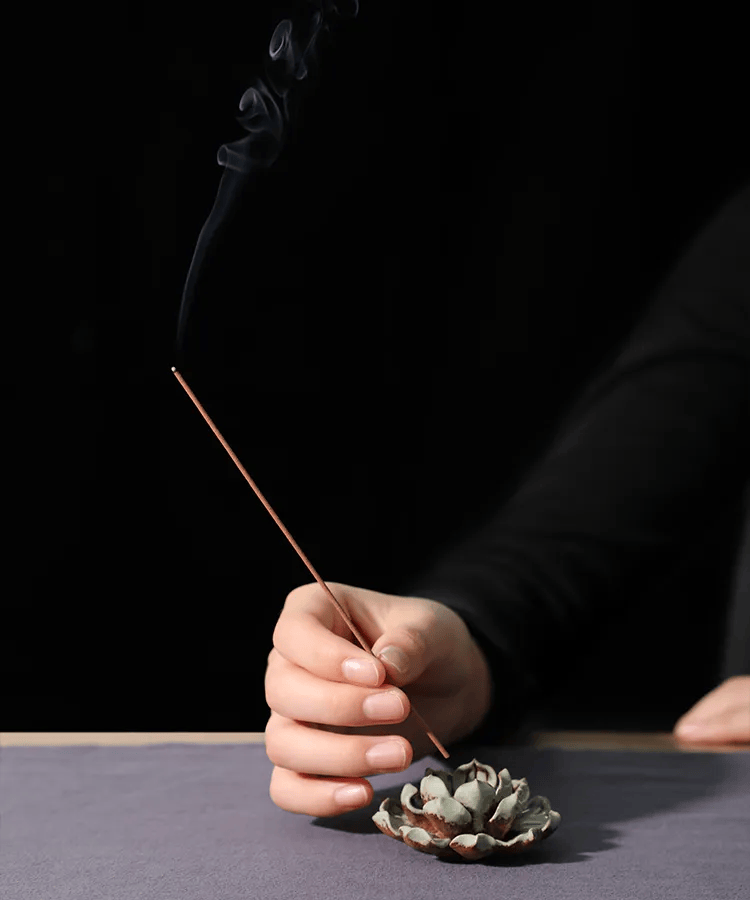 Марина tweet media