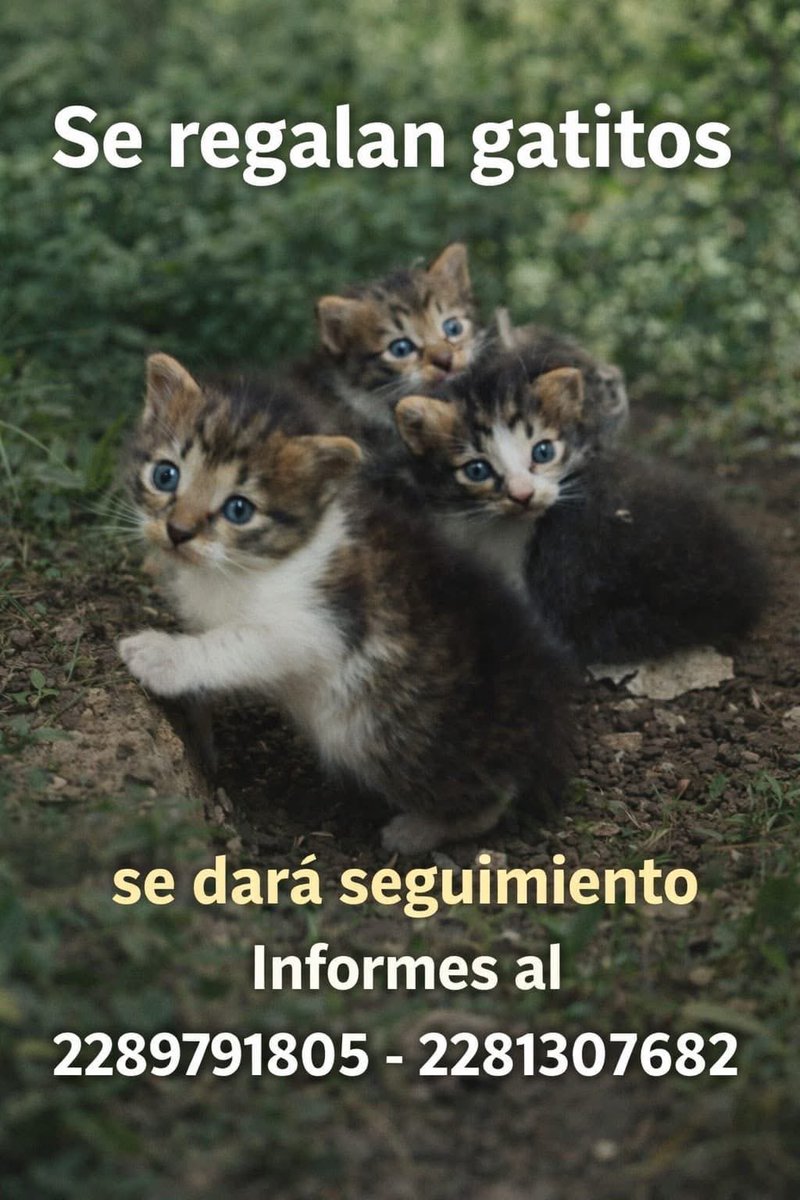 ANGIE COLUNGA tweet media