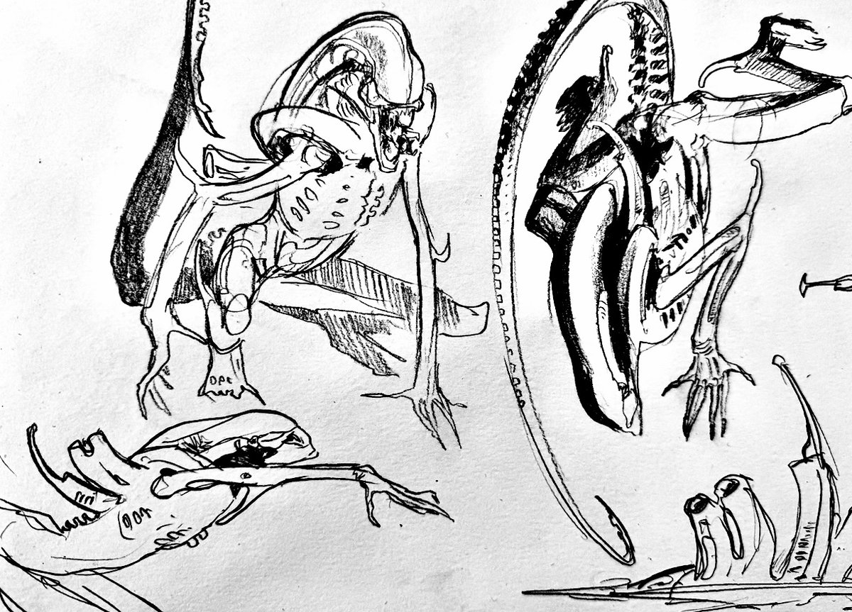 kyrazhuravel's tweet image. I don’t usually share those but my xenomorph doodles while rewatching alien: earth #alien
