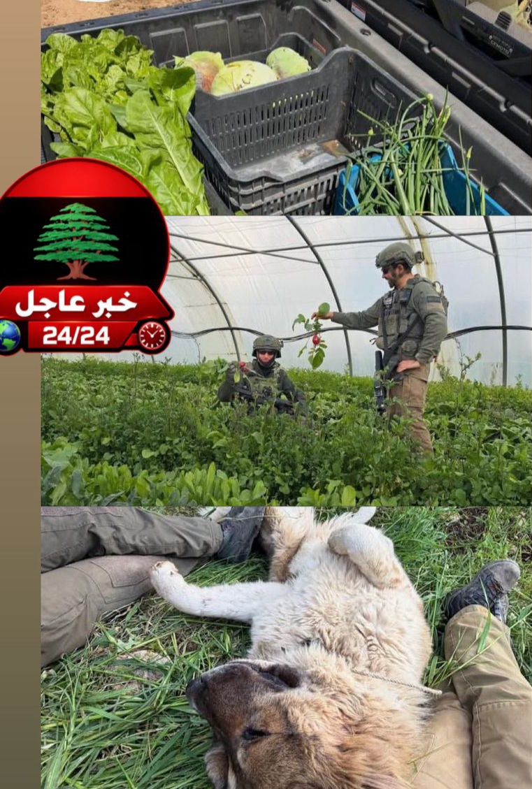 Raymond Hakim tweet media