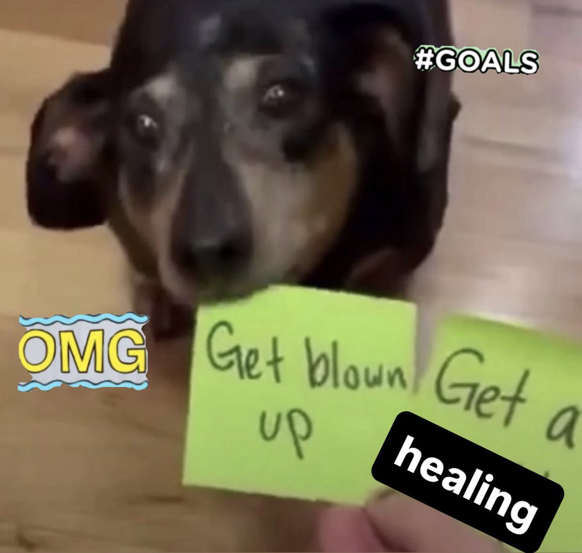 yeontwinn's tweet image. this one is killing me LOL
i an juggling a #healing and a #hurting so 😍
(this is shit i dont have the desire to try harder lol)