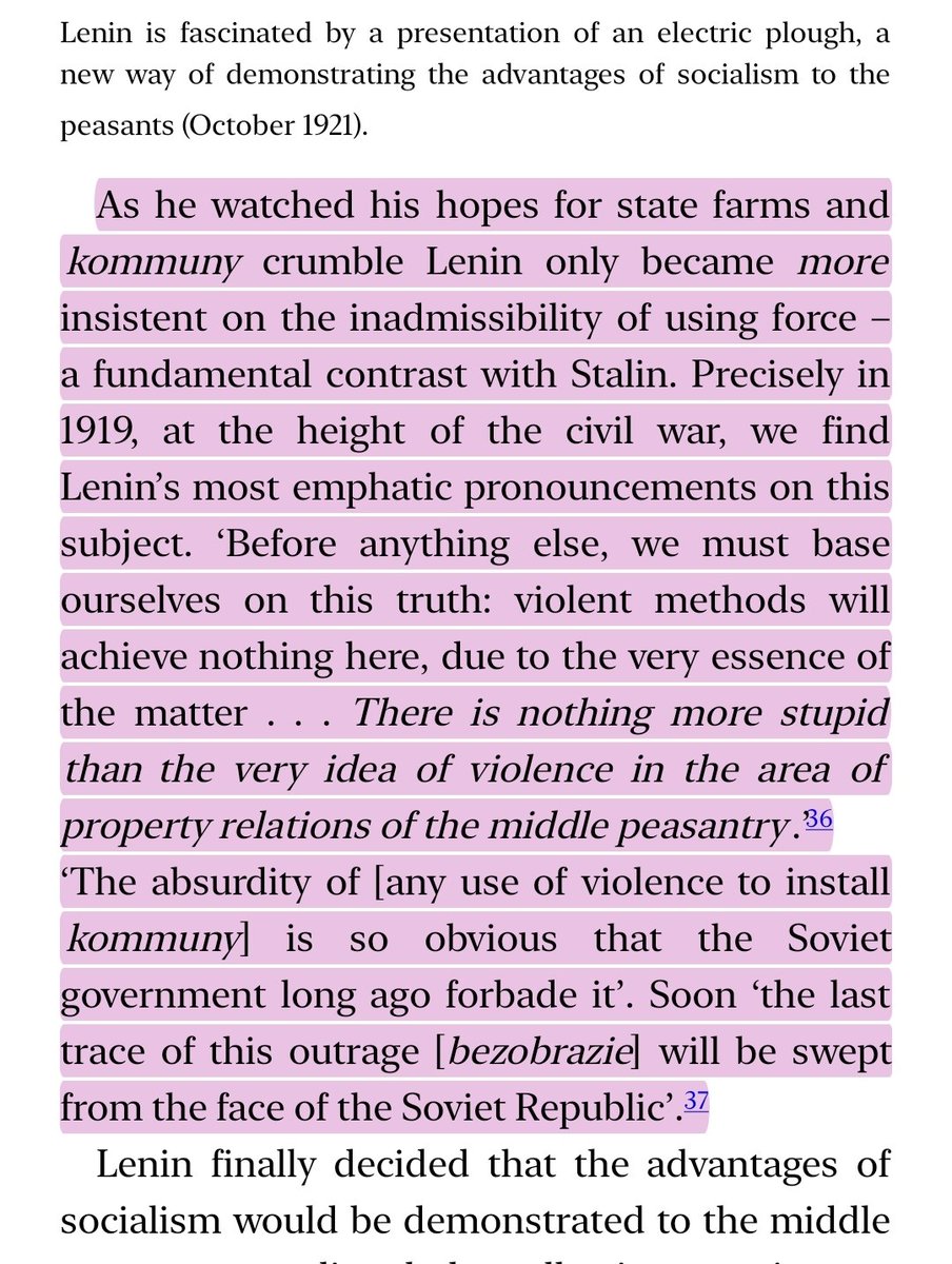 Woland 🇵🇸 tweet media