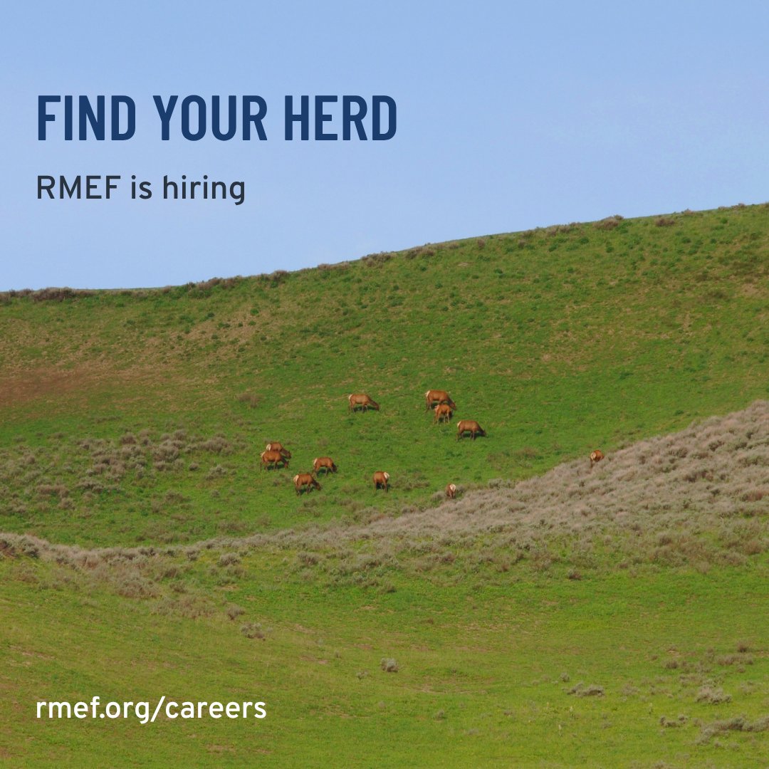 RMEF's tweet image. At RMEF, we're committed to ensuring the future of all big game - and we're looking for folks to join our dedicated team and keep the movement going.

We're hiring HQ, remote and hybrid roles - check out RMEF.org/careers and apply now.

#RMEF #hiring #conservation