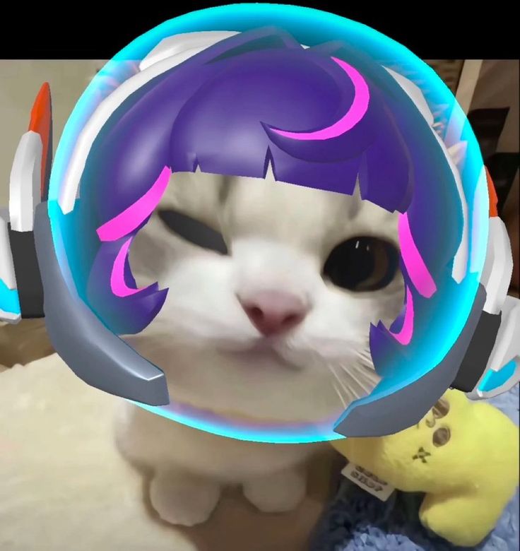El Gato del Fortnite tweet media