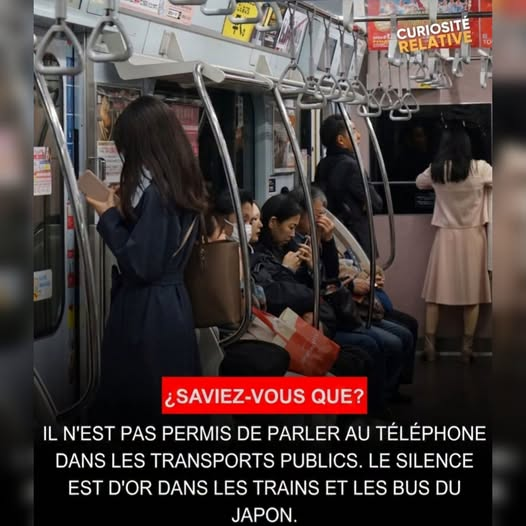 Kateri Seraphina tweet media