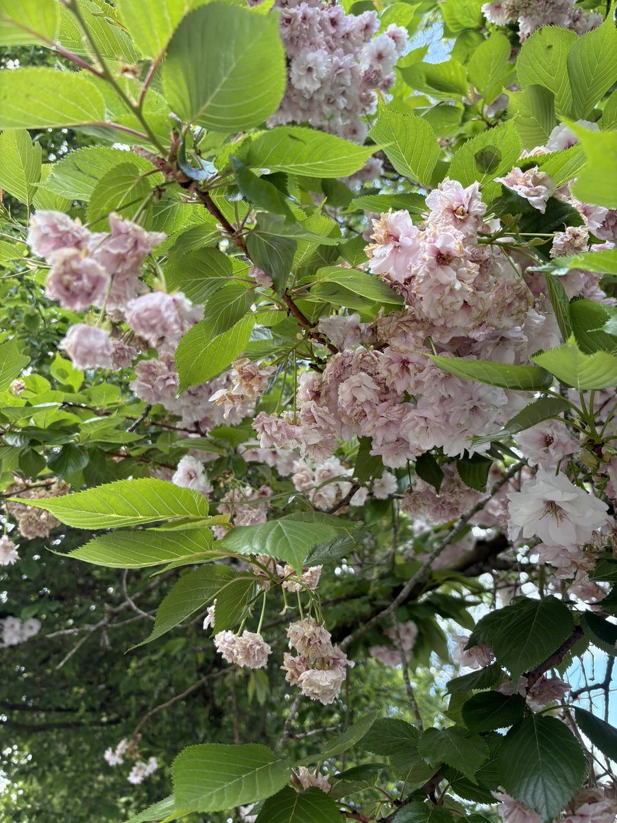 _helloconsumer's tweet photo. 📸 BSE 19.04.26

#photography #naturephotography https://t.co/aBDD72vnZg