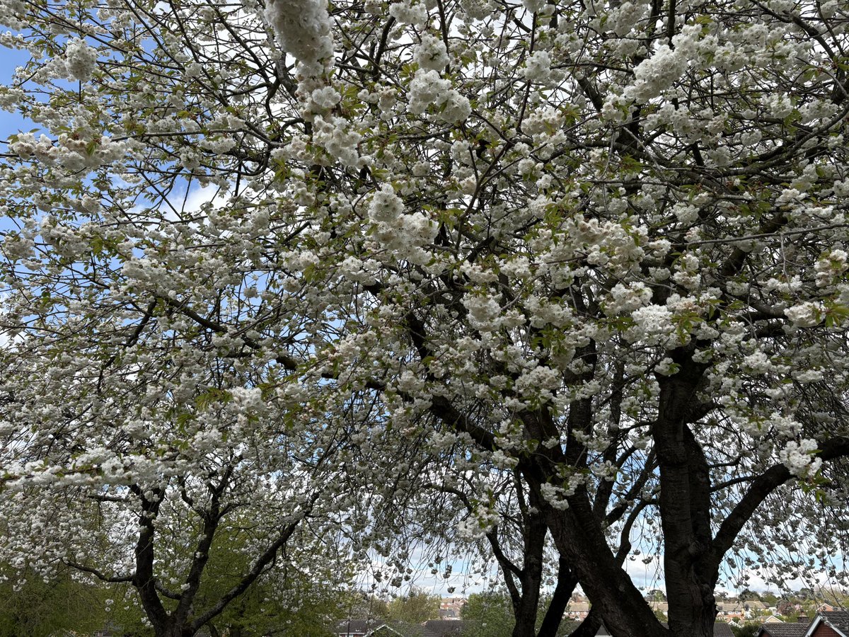_helloconsumer's tweet photo. 📸 BSE 19.04.26

#photography #naturephotography https://t.co/aBDD72vnZg
