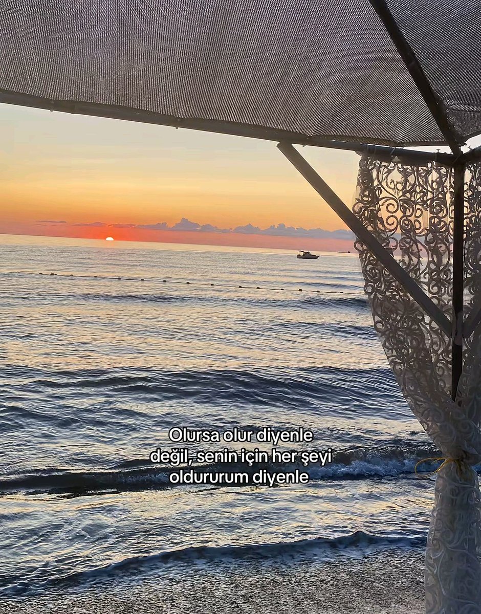 GüLSeNa tweet media