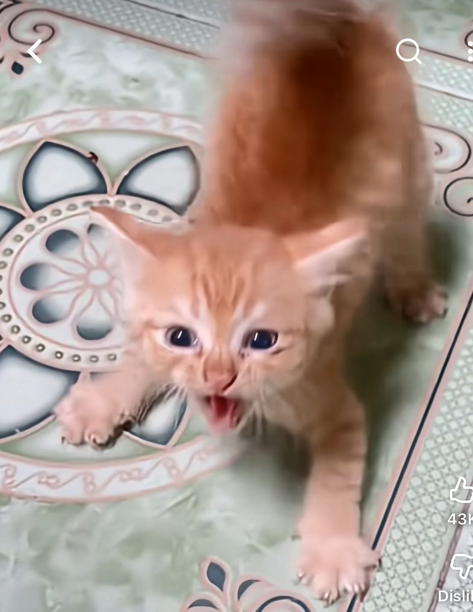 Ἀταλάντη tweet media