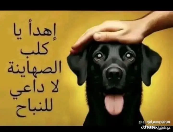 Alansary1962's tweet photo. @kasimfaysa https://t.co/gROpLYykYM