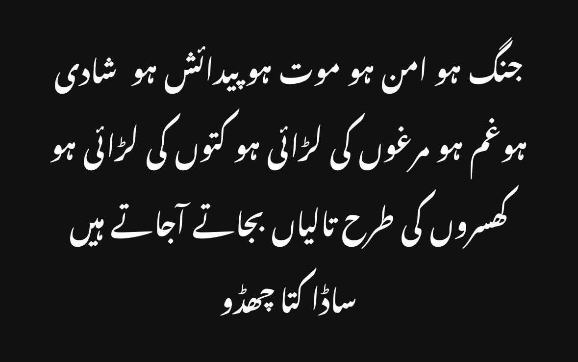 Alfah3233's tweet photo. @iffiViews https://t.co/zRT52FXuQ9