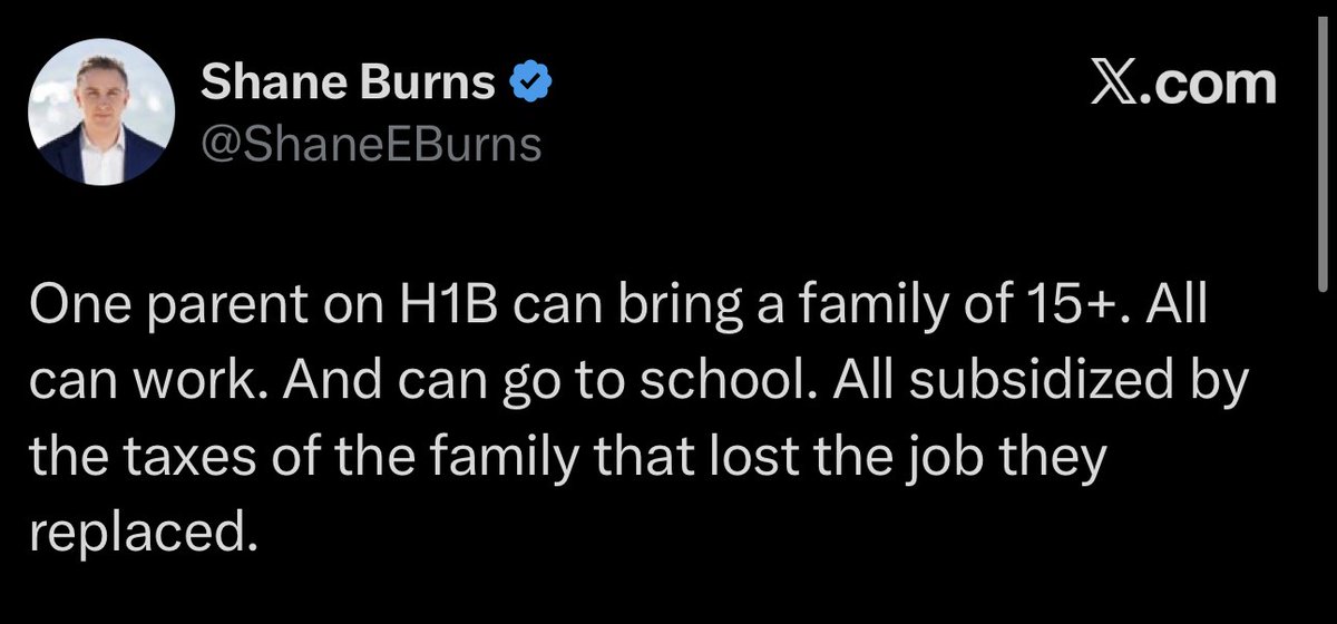 Neon White Rabbit tweet media