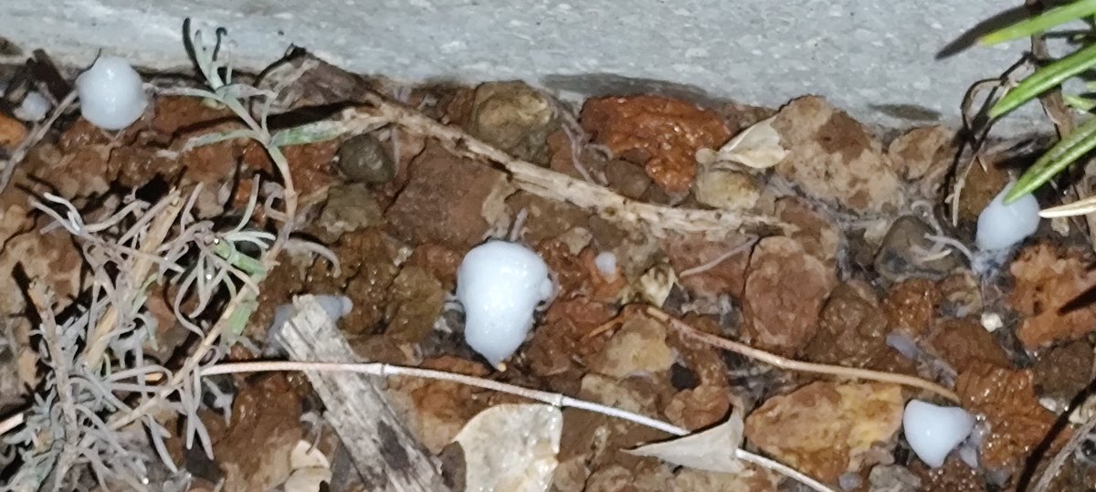 JordanGeo tweet media