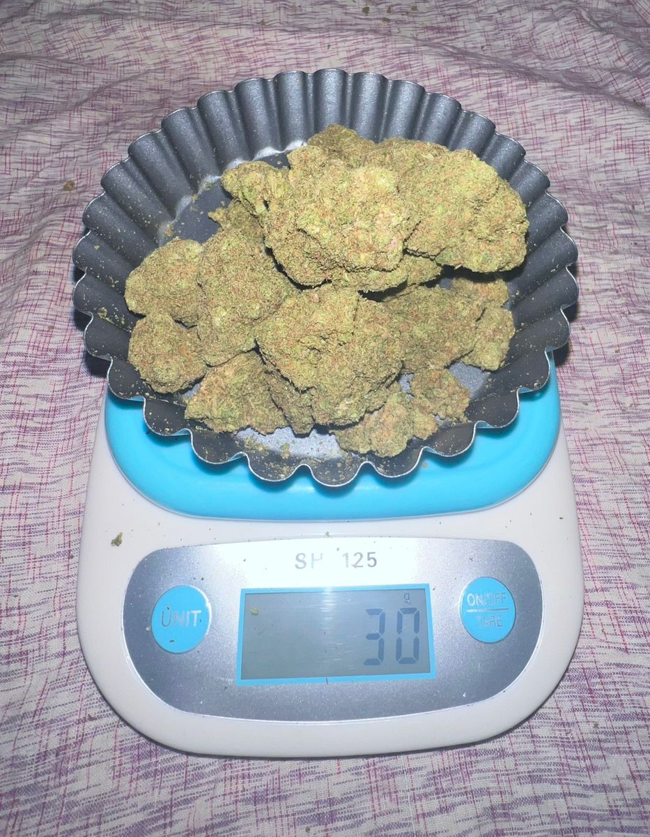 WQatar68364's tweet image. Whatsapp +923328939034
Available weed American hybrid delivery fast 
#Dubai 
#albrsha 
#AbuDhabiGP 
#Sharjah24 
#alqoz
#alnhda 
#diradubai 
#alkarama 
#Dip
#musaffa
Available all stuff all dubai delivery everytime fast 💯 fast time location 2g only for trust after payment 💖💯