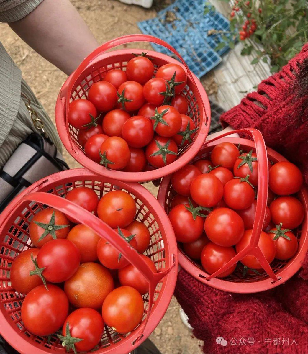 Albano1993 tweet media