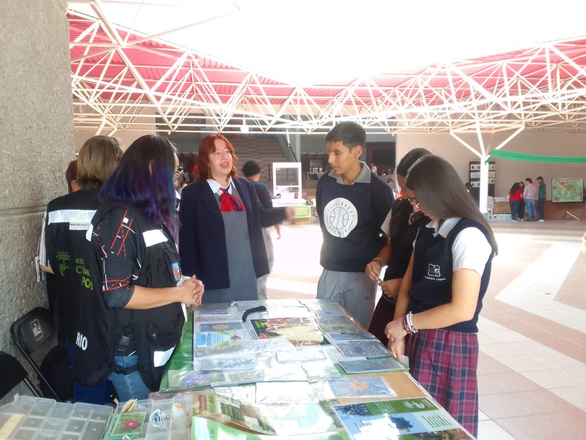 RescatandoChopo's tweet photo. Por segundo año consecutivo participamos en el Mercado Verde Reconecta, compartiendo saberes y experiencias con la comunidad del CEL y los diversos colectivos que estuvieron presentes. Gracias por conectar con nosotros. 🌳🪲🌸🦎🌻🦋🍄🪱 https://t.co/Cisg5quipp