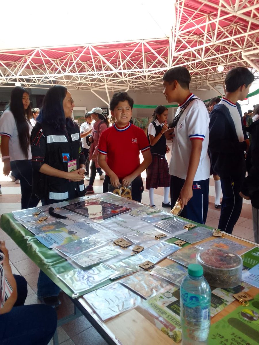 RescatandoChopo's tweet photo. Por segundo año consecutivo participamos en el Mercado Verde Reconecta, compartiendo saberes y experiencias con la comunidad del CEL y los diversos colectivos que estuvieron presentes. Gracias por conectar con nosotros. 🌳🪲🌸🦎🌻🦋🍄🪱 https://t.co/Cisg5quipp