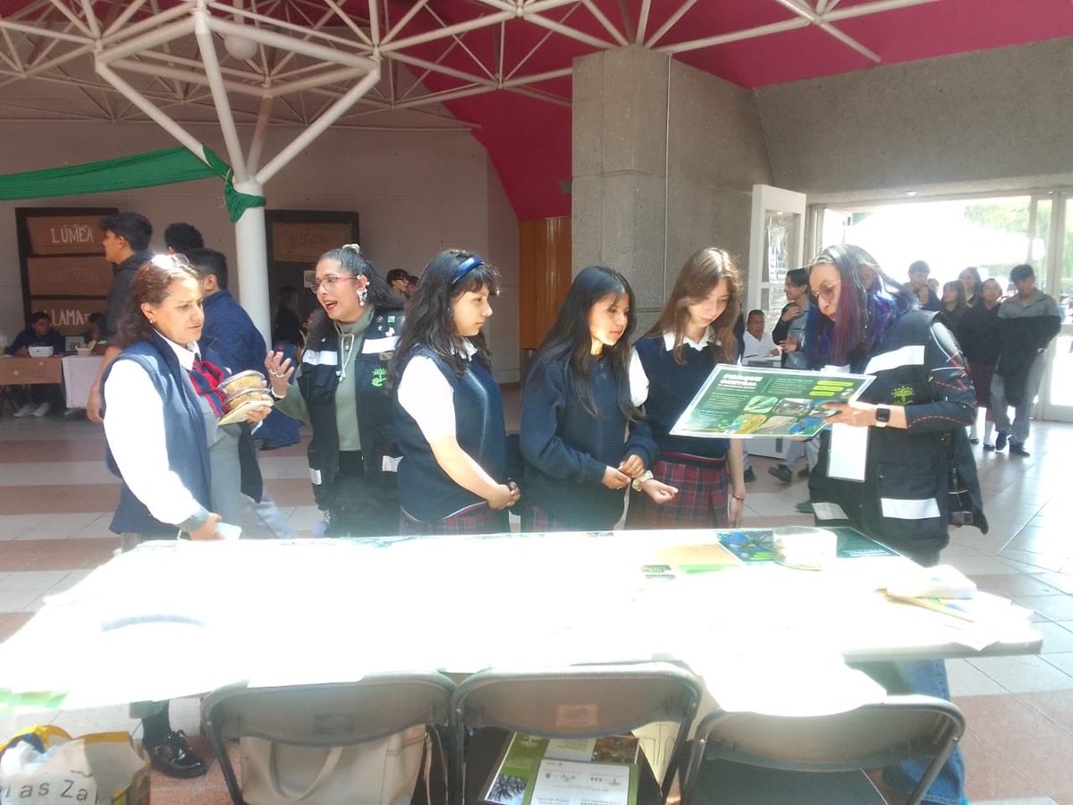 RescatandoChopo's tweet photo. Por segundo año consecutivo participamos en el Mercado Verde Reconecta, compartiendo saberes y experiencias con la comunidad del CEL y los diversos colectivos que estuvieron presentes. Gracias por conectar con nosotros. 🌳🪲🌸🦎🌻🦋🍄🪱 https://t.co/Cisg5quipp