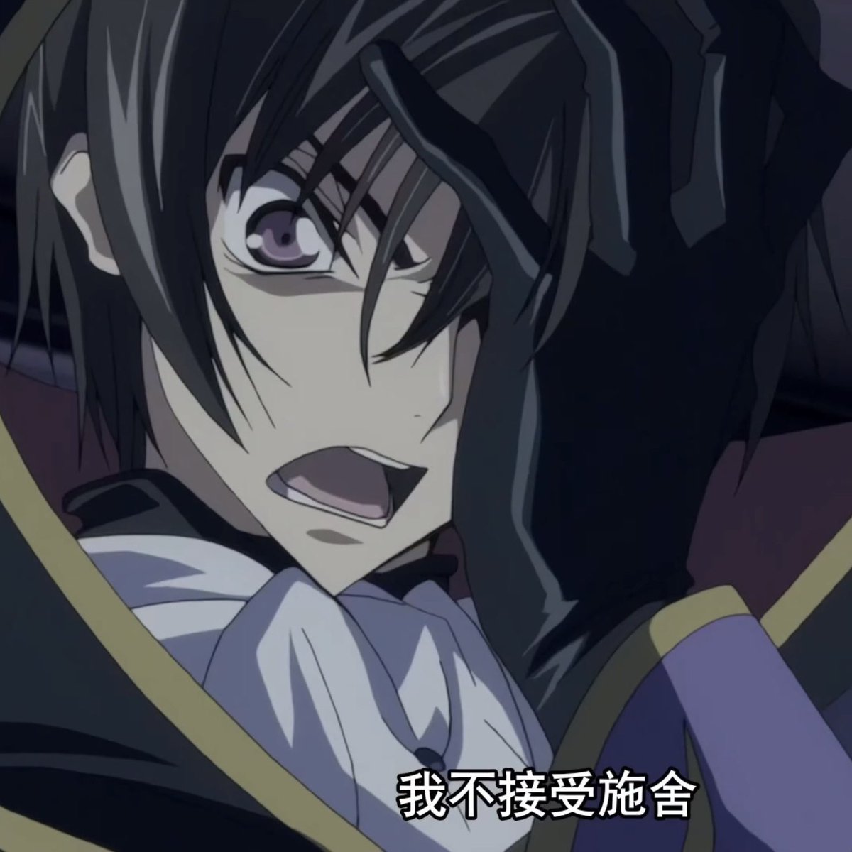 猫……皱成一团的表情也是非常之萌……漂亮的人生气也是非常漂亮啊🥹🥹🥹！