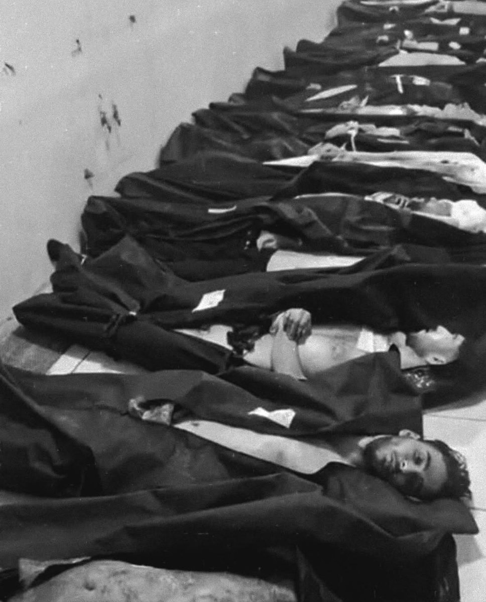 Nina9272436374's tweet image. Thank you so much 💔🙏 #KingRezaPahlavi‌ForIran  #DigitalBlackOutIran‌  #Finish