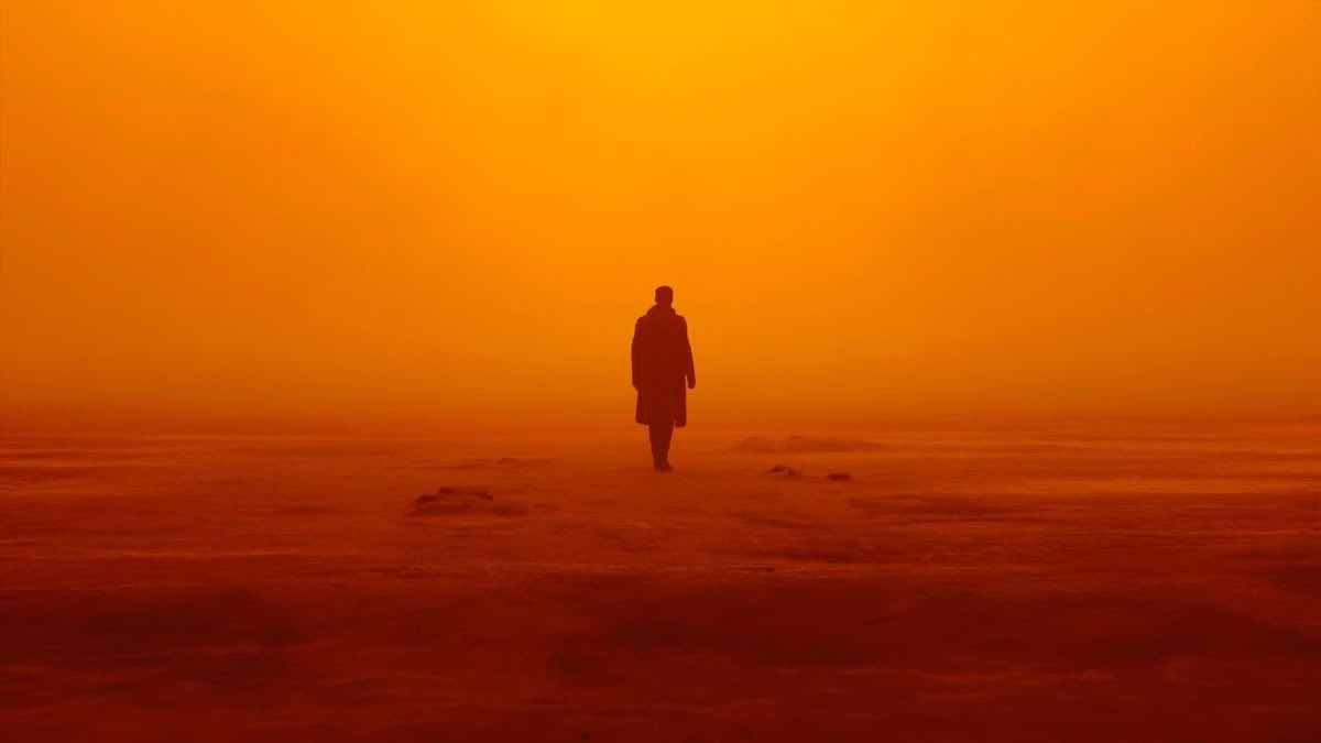 lunaensebas's tweet image. #FTW: