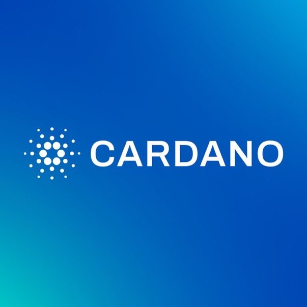 Healthy Pockets tweet media