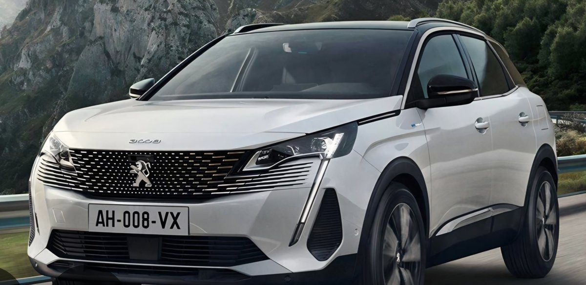 Freddy Roy tweet media