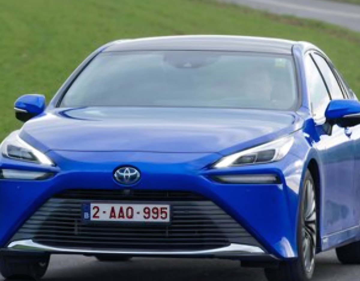 Freddy Roy tweet media