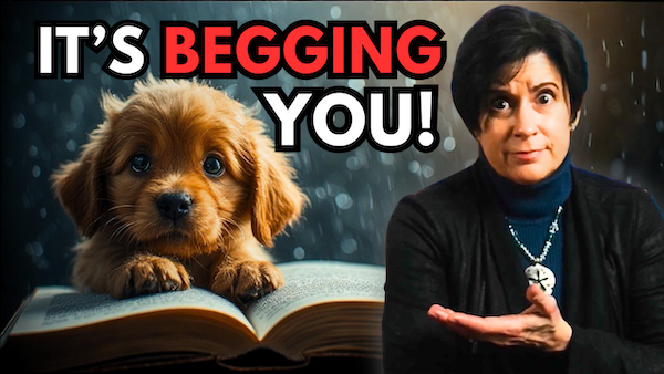 colleen_m_story's tweet image. Your Unfinished Book Desperately Needs This!
#amwriting 
youtu.be/dox-Ofksgms