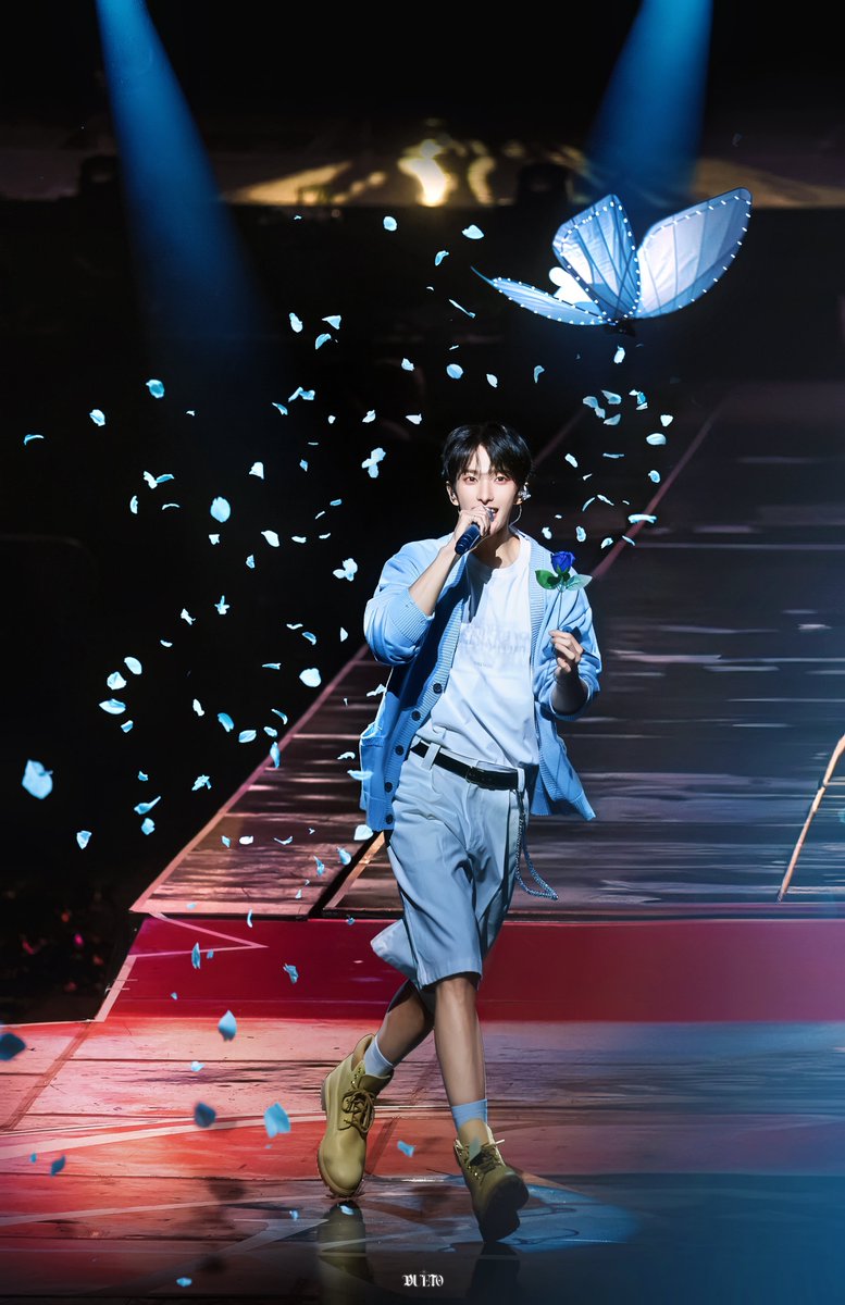 와 나비랑 겸이 너무 아름다워 어떻게 이렇게 찍으셨지