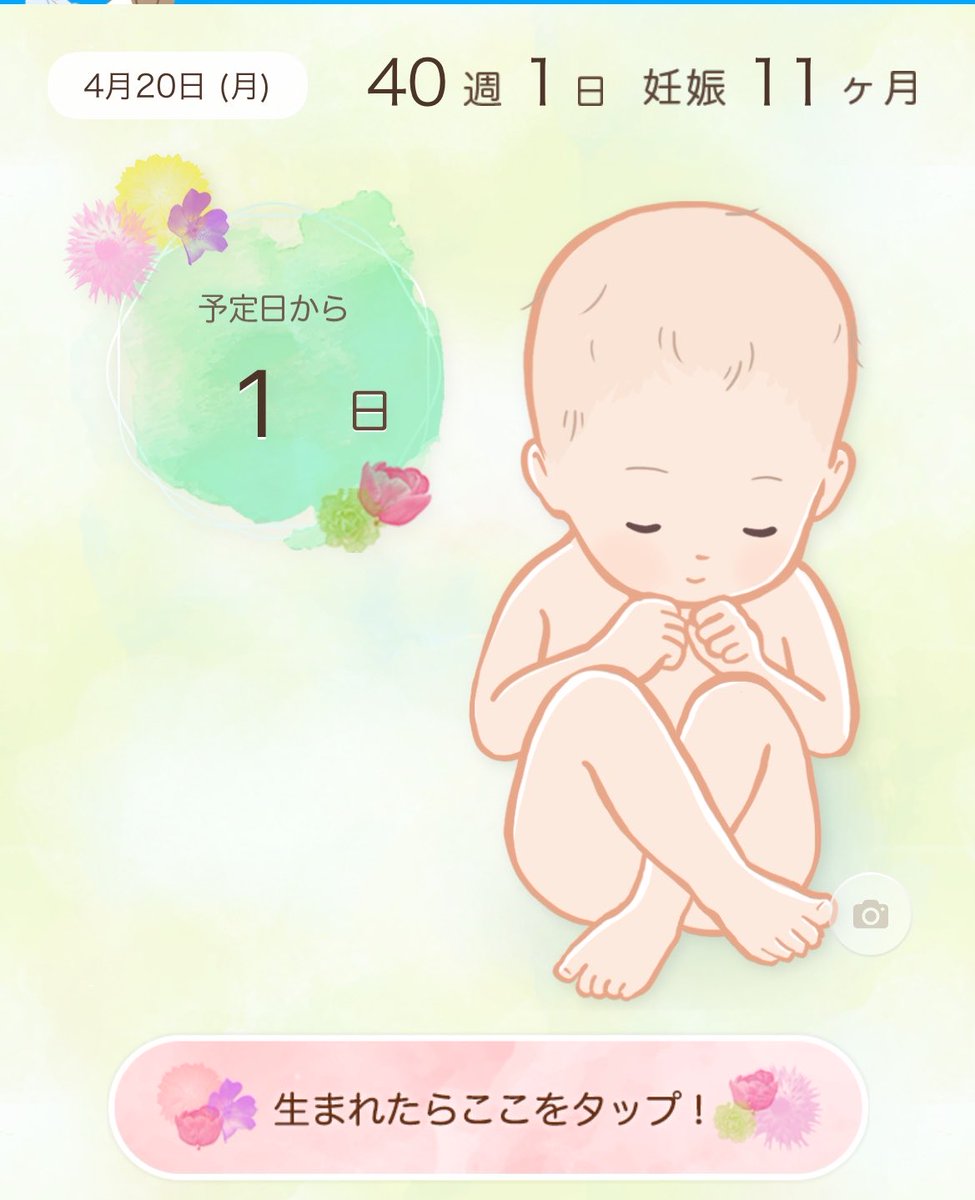 NOT_FOUND125's tweet photo. まだ出てこないのんびり屋さん🐢
このままだと来週月曜日に入院→誘発😵‍💫
母の内臓は限界だが出産も怖い😞 https://t.co/Hv6A3ZXUf7