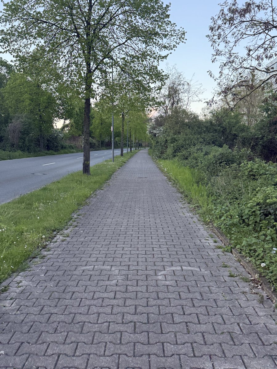 Sarah-llel beth 🍓mitch's angle 📐📐 tweet media