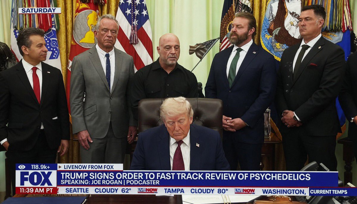 ✵ ʍɨƈӄɛYɨŘ ɨ Ⓢɦ✵ tweet media