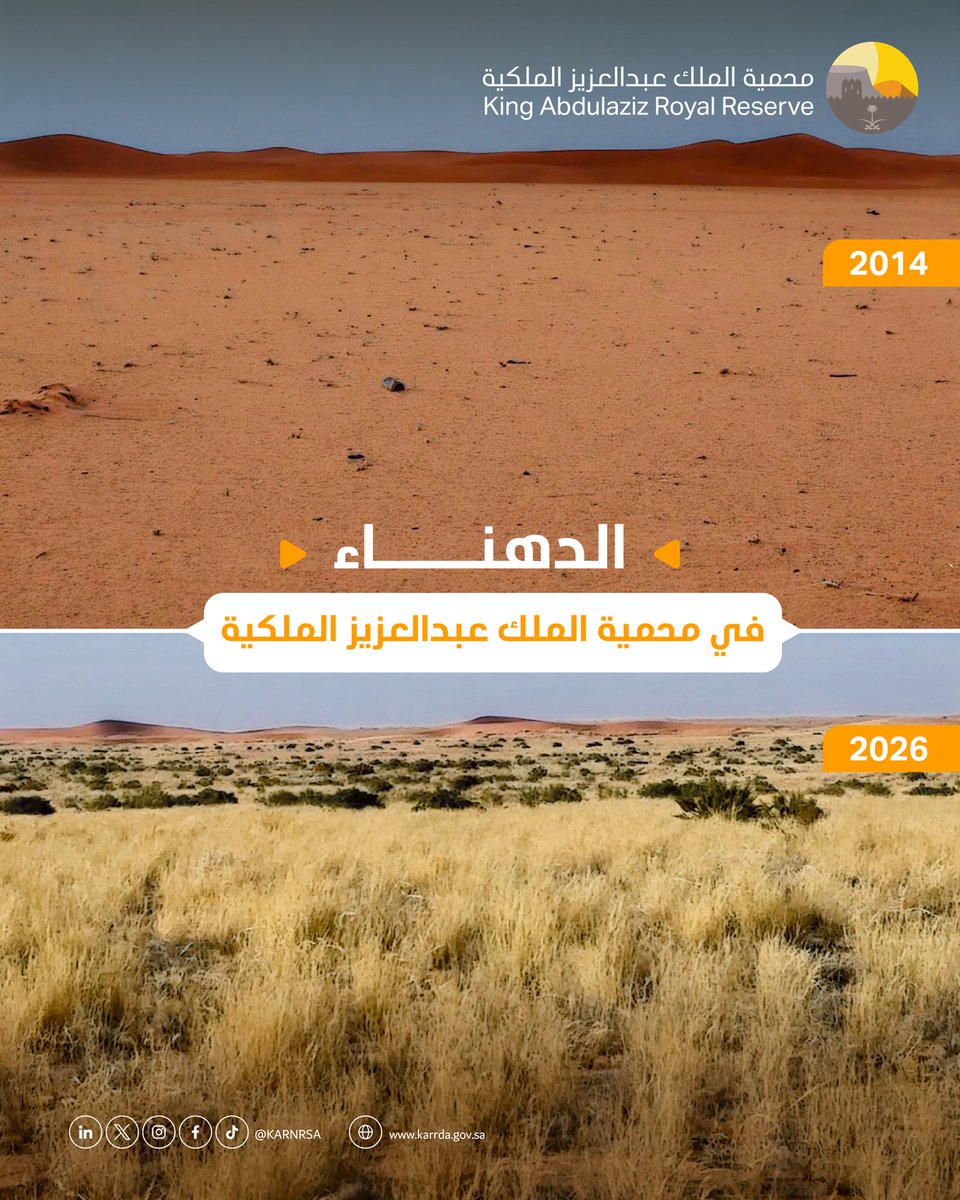 محمية الملك عبدالعزيز الملكية tweet media
