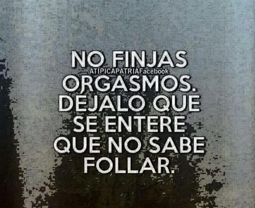 Monica Luchetta🇦🇷🇮🇱 tweet media