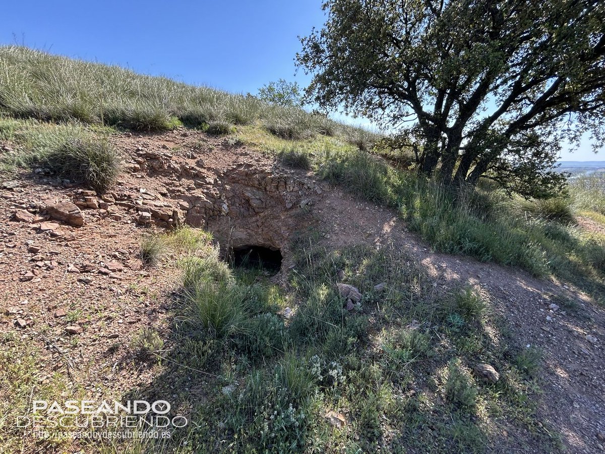 paseandoydescu's tweet photo. CERRO DE DON BENITO - BURGUILLOS DE TOLEDO
En las estribaciones de la Sierra de Layos y en el término municipal de Burguillos de Toledo, paseamos hasta el Cerro de Don Benito,  una elevación de 843 metros de altura según conta en una cruz de granito situada en el cerro. https://t.co/Ol4U5qqxVw