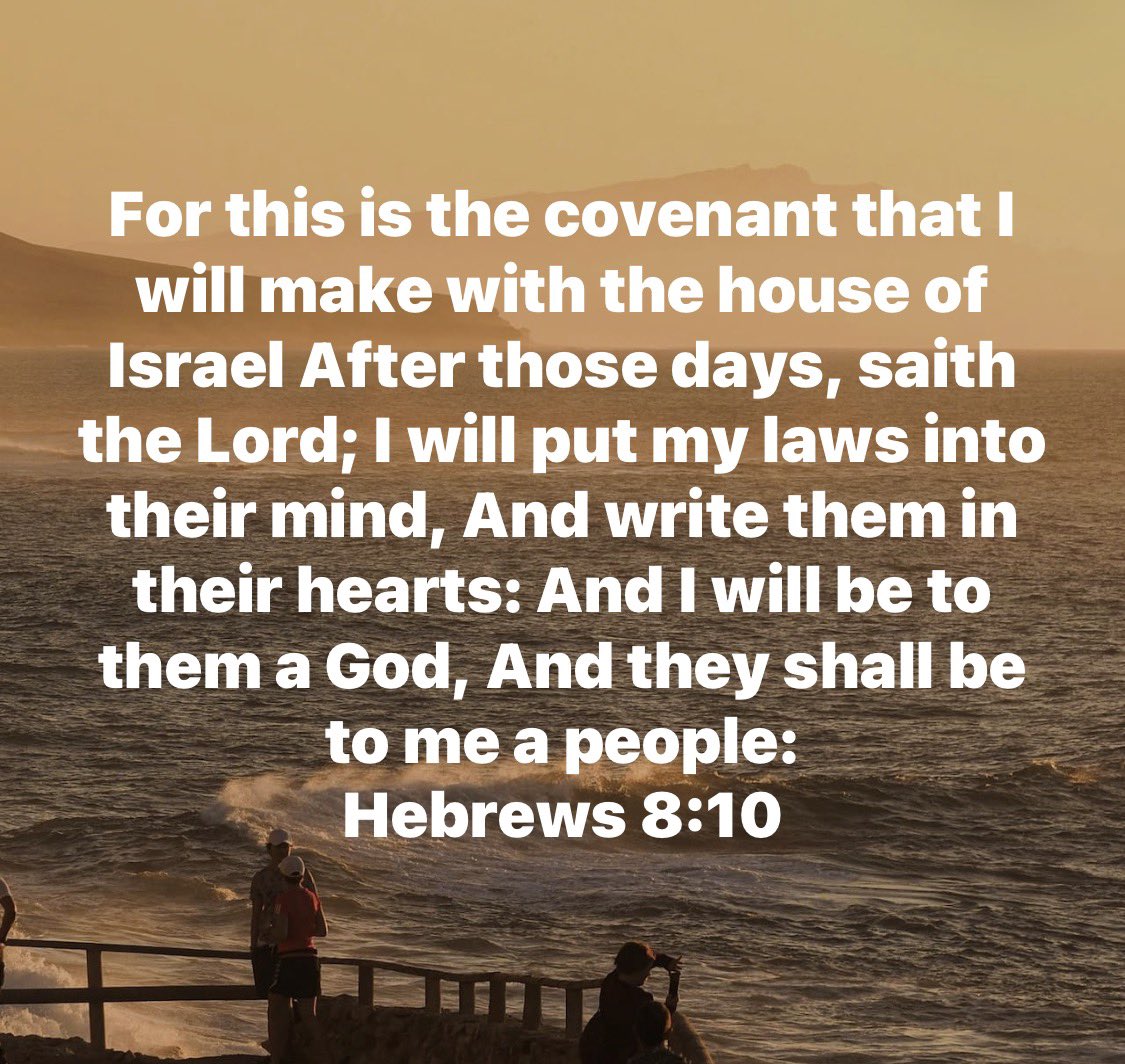 Lisa Woman of GOD7 tweet media