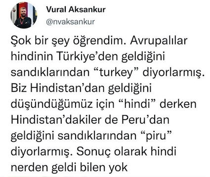 İT KÖPEK A.Ş. (@itkopekas_) on Twitter photo 