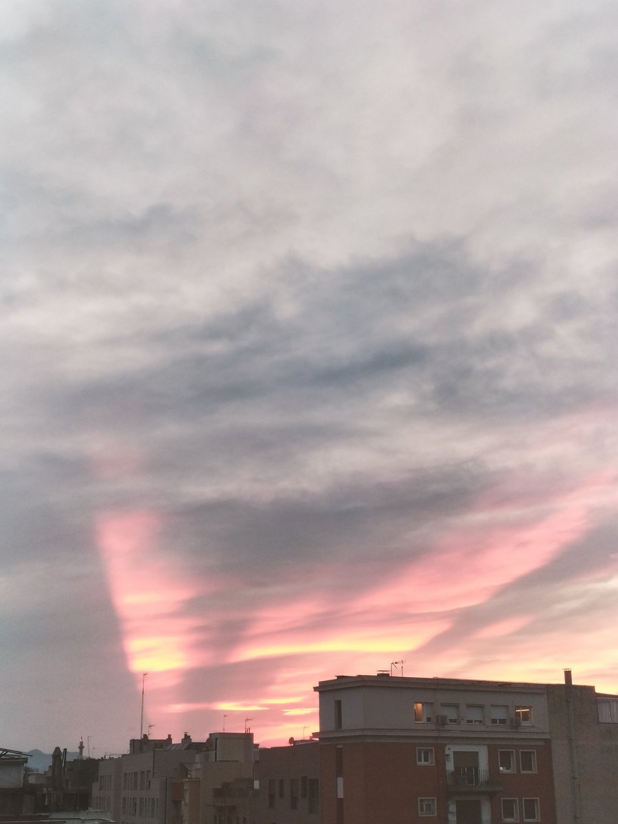 SOLER ♀️✊ tweet media