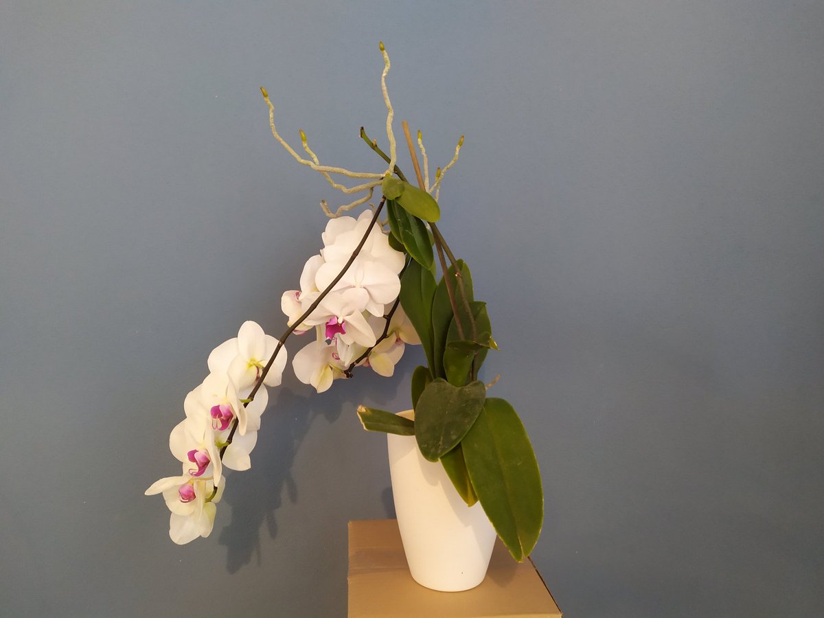 Il Vero Rover Perseverance 🧱🧀🛰️ tweet media