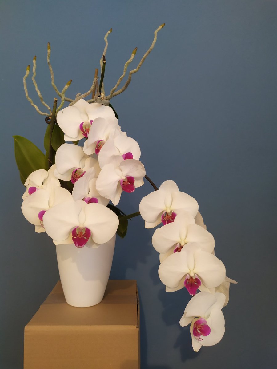 Il Vero Rover Perseverance 🧱🧀🛰️ tweet media